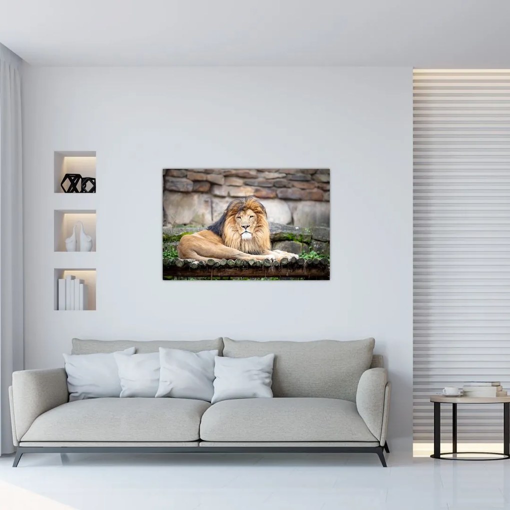 Tablou cu leu (90x60 cm)
