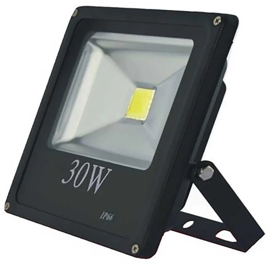 Proiector LED pentru gradina, 30 w, slim, lumina alba rece