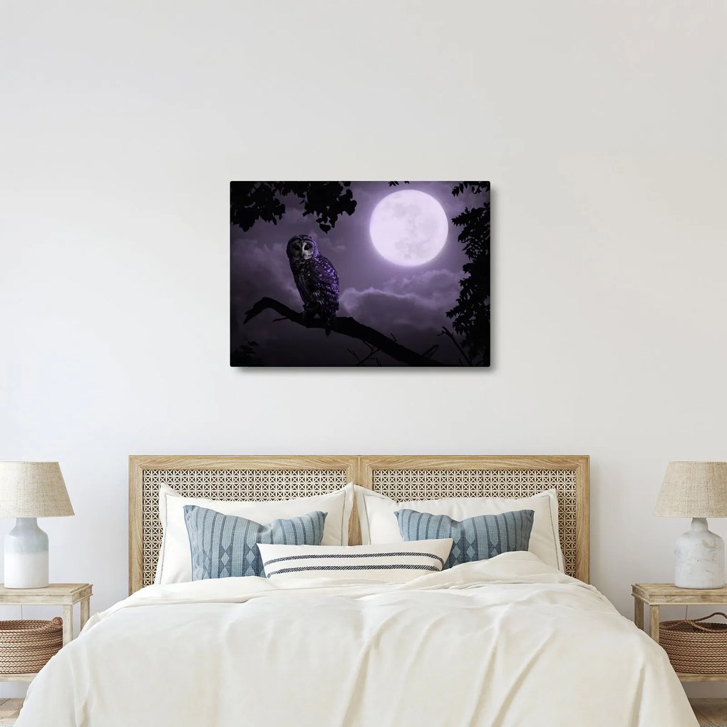 Tablou - Bufniță de noapte, violet (70x50 cm)
