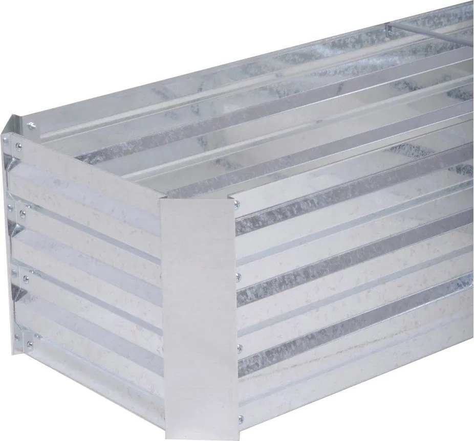 Pat ridicat de plante Magnolia – Garden Pleasure