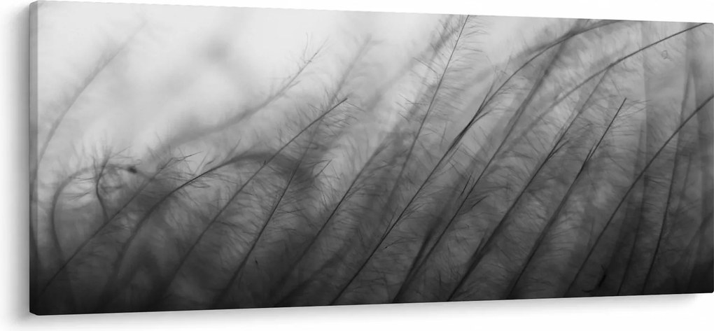 Tablou - Iarba în vânt (120x50 cm)