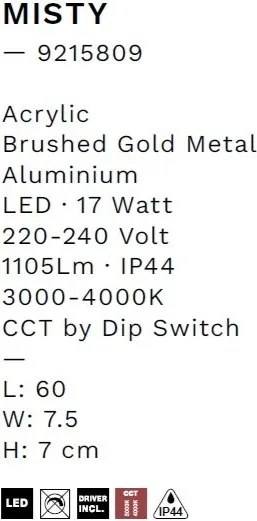 Aplica de perete LED baie IP44 MISTY aurie