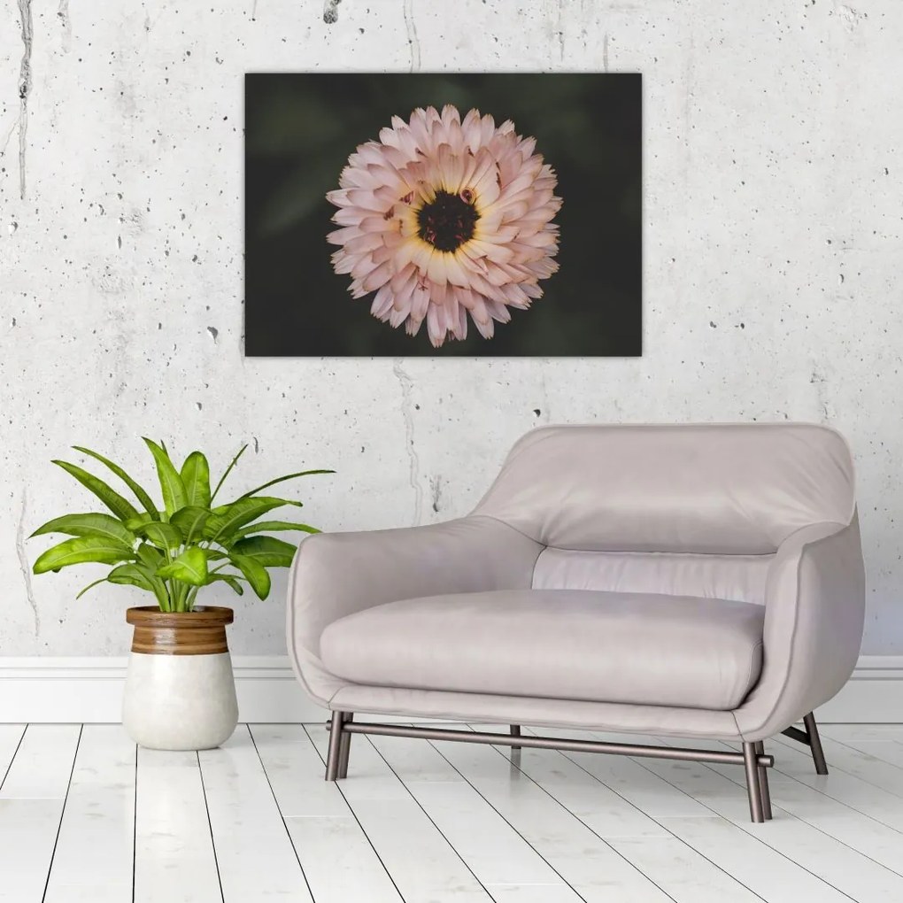 Tablou pe sticlă cu floare portocalie (70x50 cm)