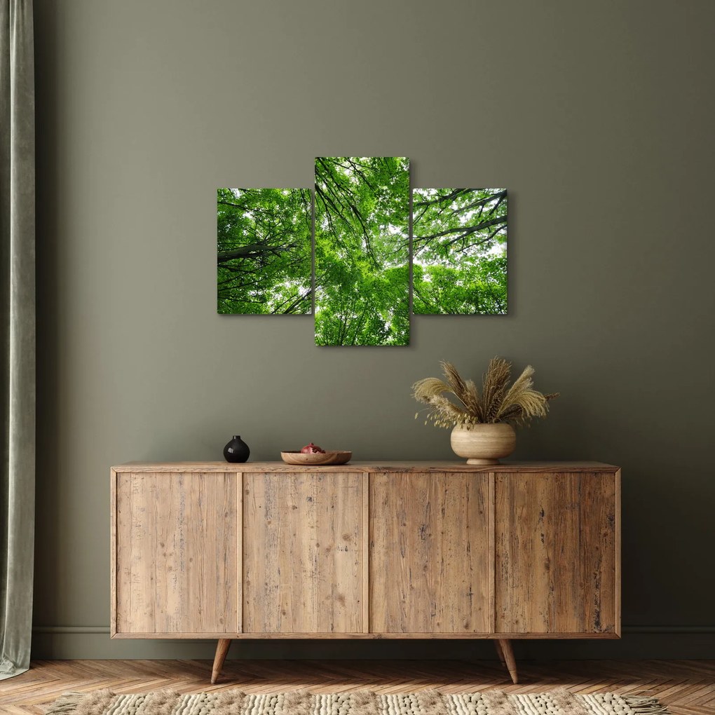 Tablou - privire în coroanele pomilor (90x60 cm)