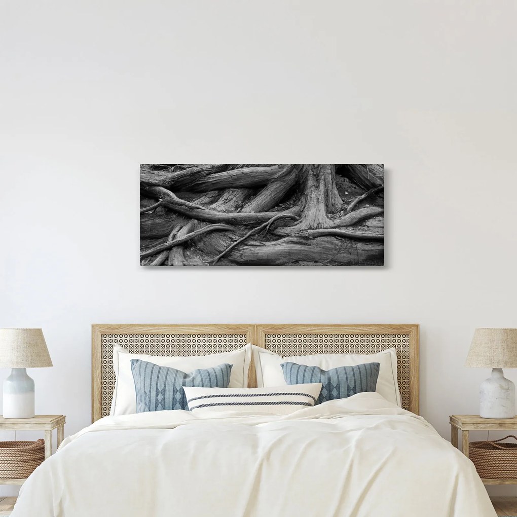 Tablou - Rădăcinile copacului (120x50 cm)