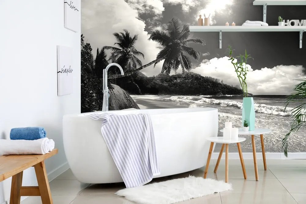 Fototapet plajă pe insula Seychelles în alb-negru