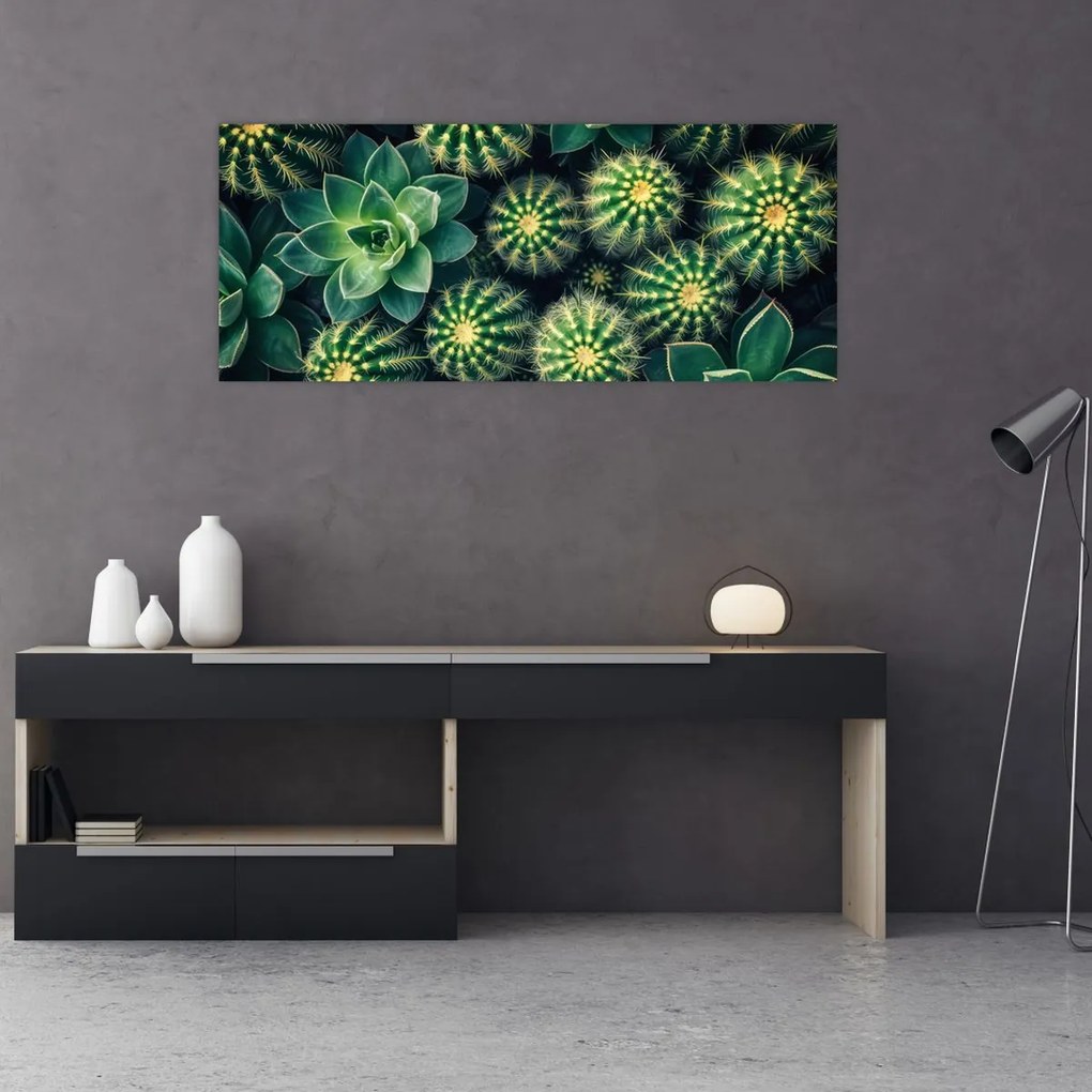 Tablou - Cactuși (120x50 cm)