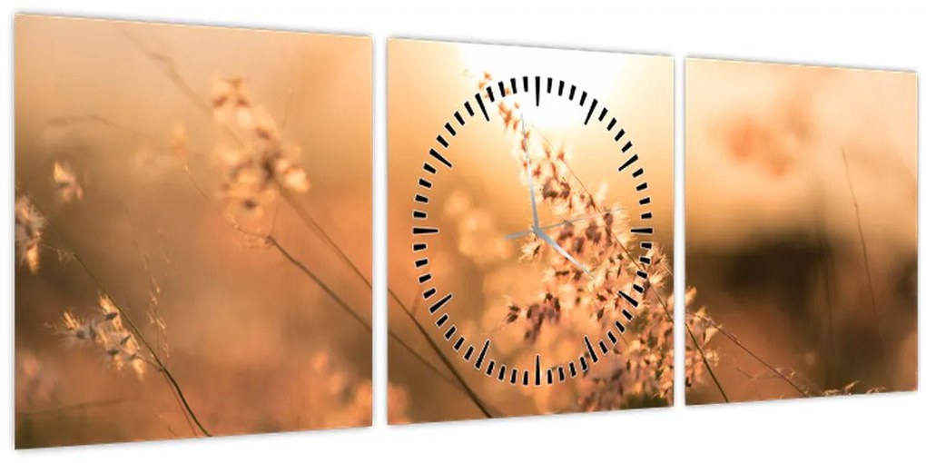 Tablou - Iarbă la soare (cu ceas) (90x30 cm)