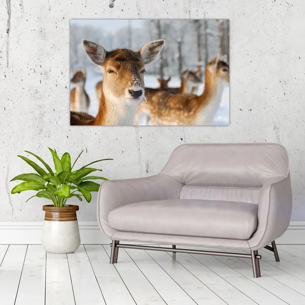 Tablou - Cerbi (90x60 cm)