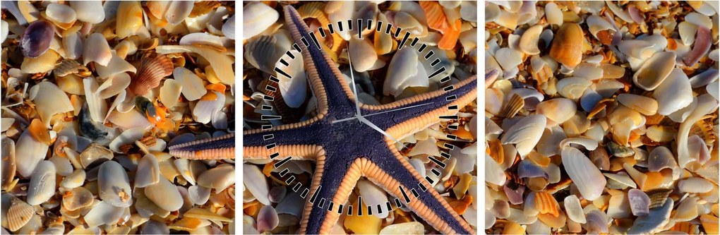 Tablou cu stea de mare (cu ceas) (90x30 cm)