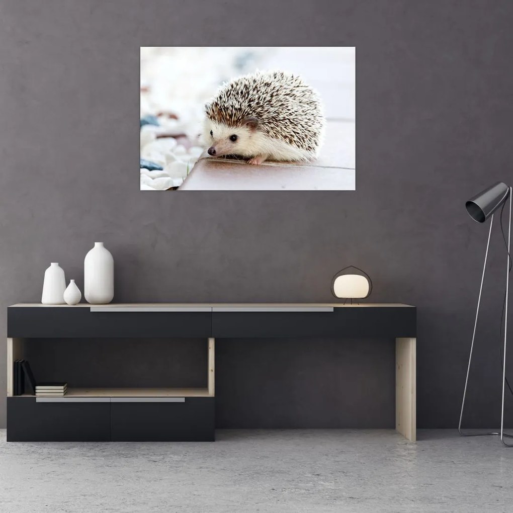Tablou cu arici (90x60 cm)
