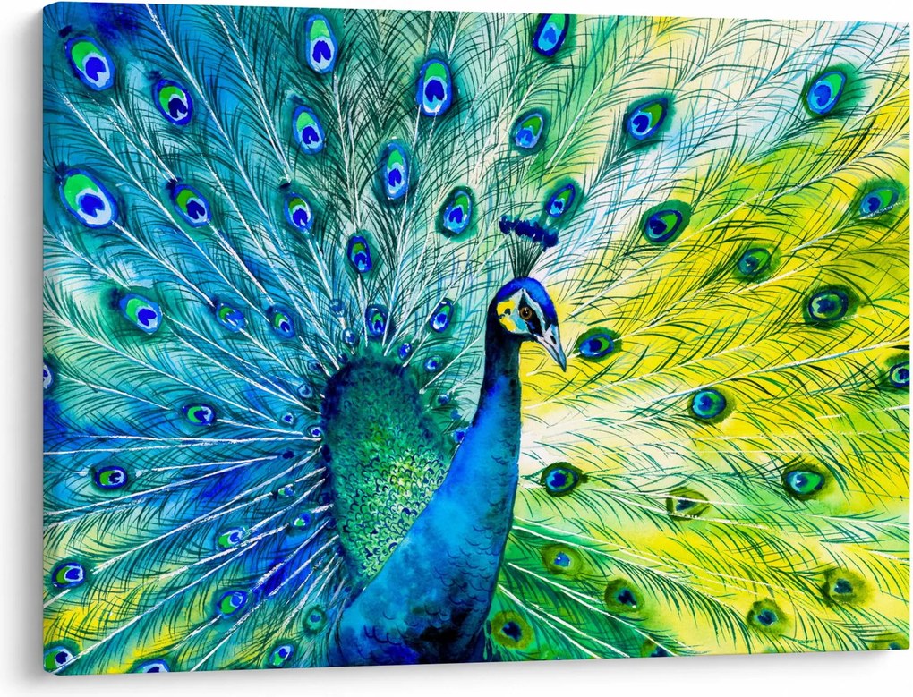 Tablou - Păun (70x50 cm)