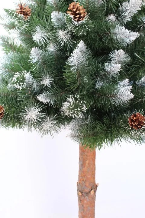 Pom uimitor acoperit de zăpadă, pin pe un trunchi de 220 cm