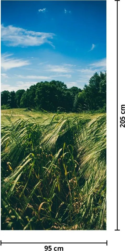 Fototapet pentru ușă - Lunca și pădurea (95x205cm)