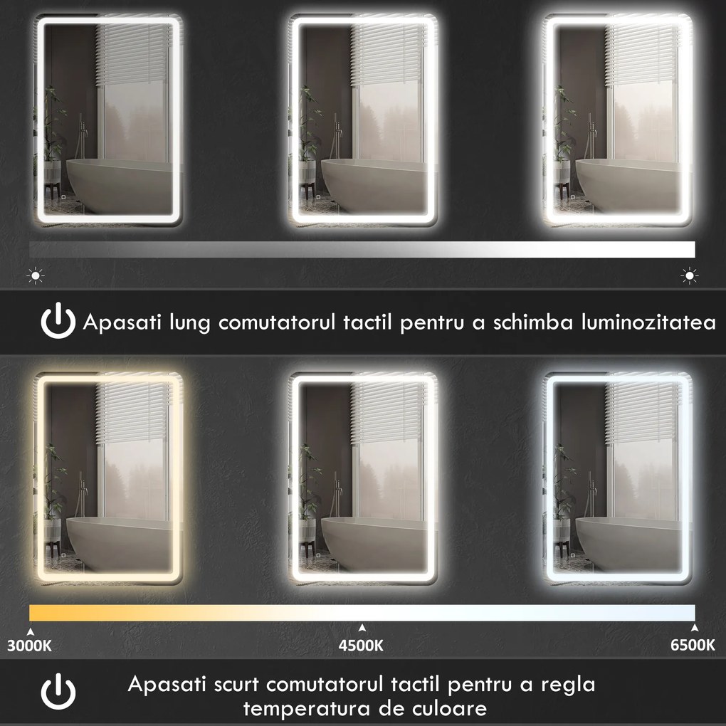 kleankin Oglinda pentru Baie cu Lumini LED, 70x50 cm, Argintiu | Aosom Romania