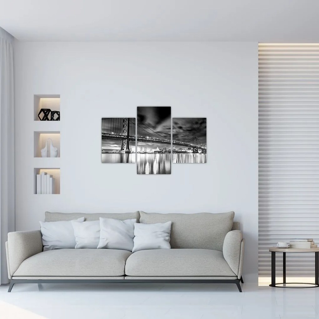 Tablou - Podul Benjamin Franklin, Philadelphia, alb-negru (90x60 cm)