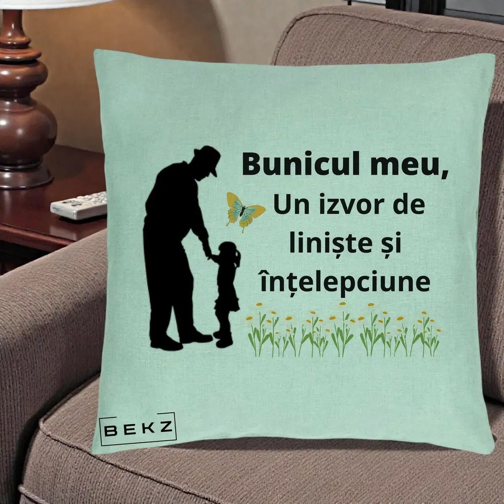 Cadou pentru Bunic - Perna Personalizata Bunicul Meu Izvor de Liniste cu Fluture si Fetita, 40x40 cm, Verde Menta, Husa Detasabila, Perna Inclusa, BEKZ®
