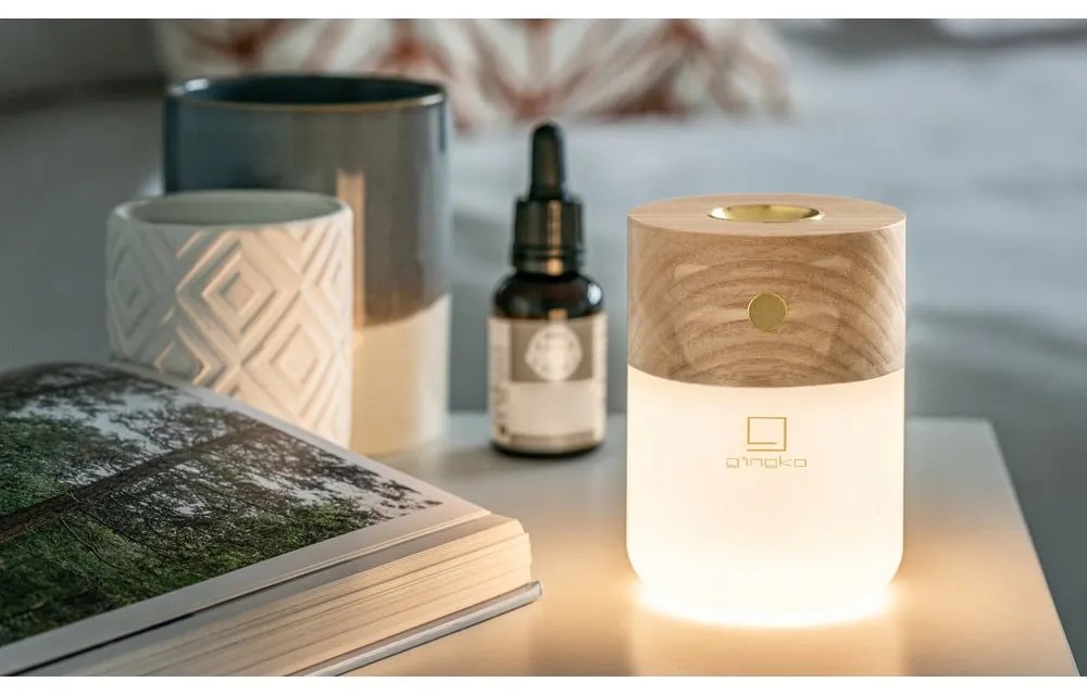 Difuzor de parfum electric Smart – Gingko