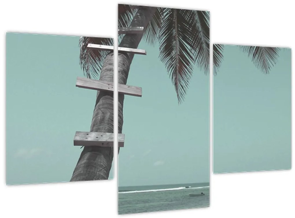 Tablou - Palma în Caraibe (90x60 cm)