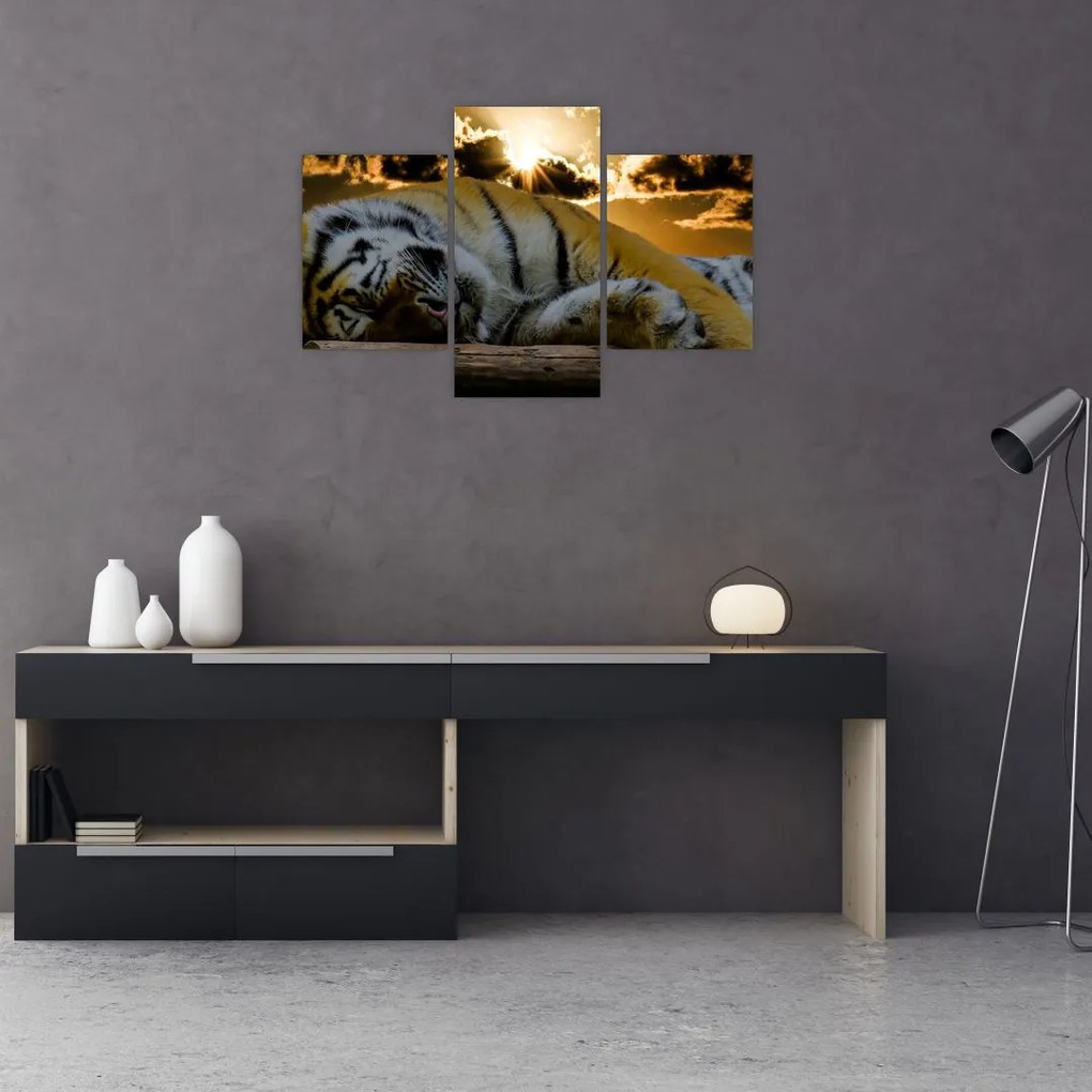 Tablou tigrul dormind (90x60 cm)