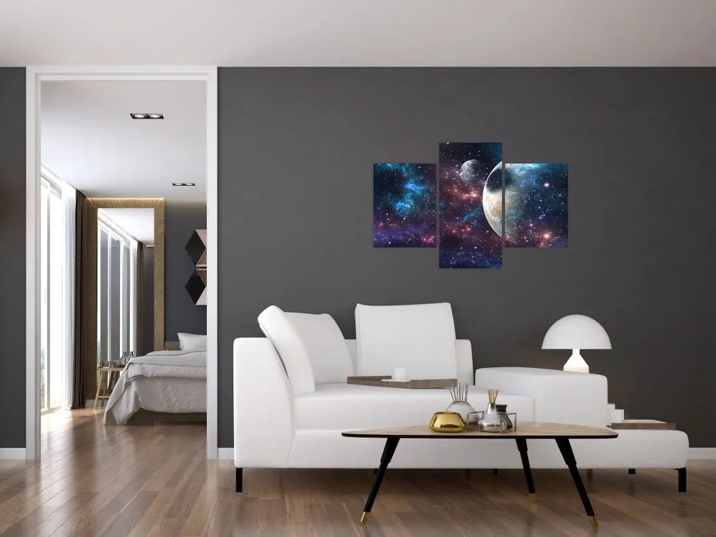 Tablou cu cosmos (90x60 cm)