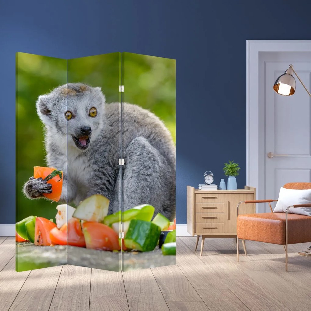 Paravan - Lemur (126x170 cm)