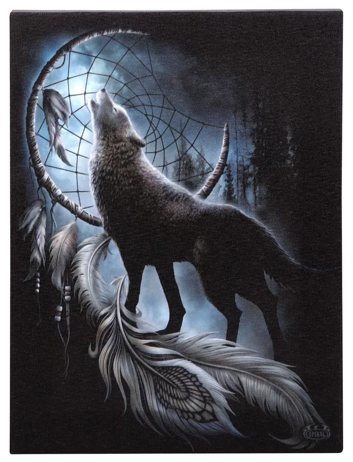 Tablou canvas lup, Din intuneric 19x25cm - Spiral Direct