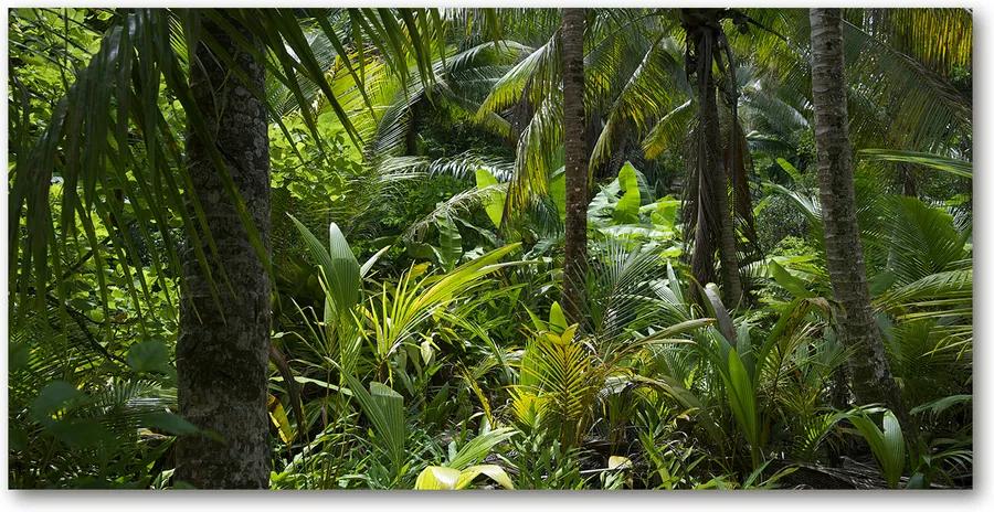 Fotografie imprimată pe sticlă Padure tropicala