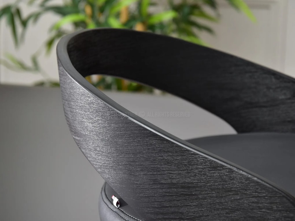Scaun Haime (negru). Promo -10%. 1110594