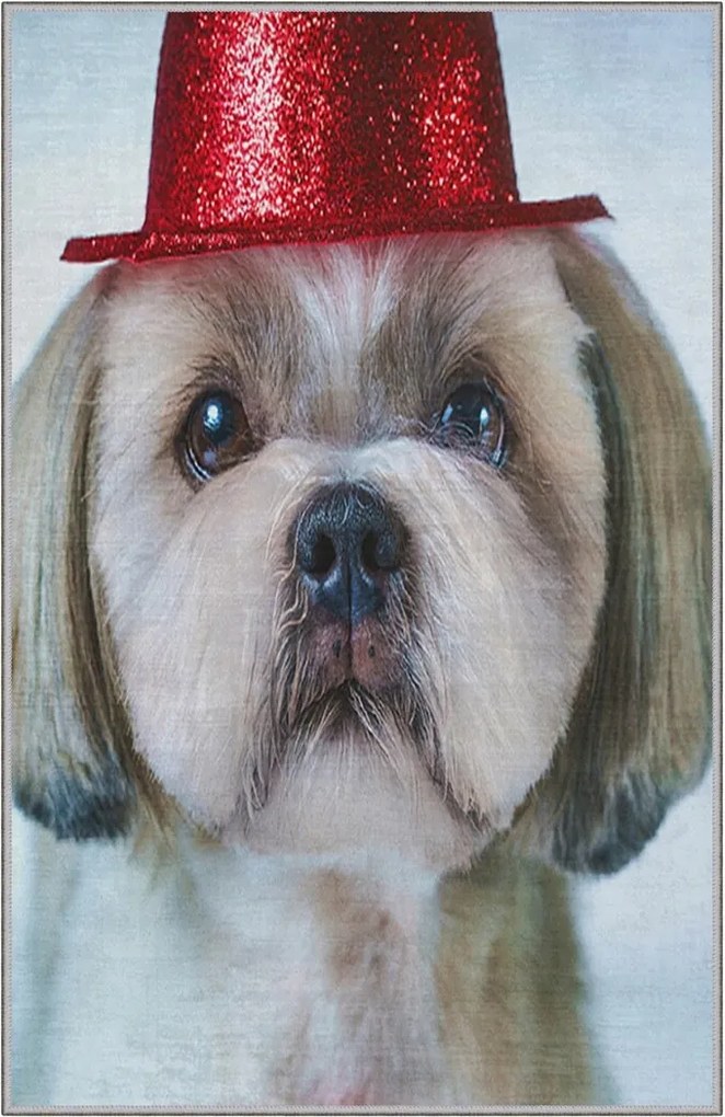 Covor, KHMFESTO008KEÇE, 80x120 cm, Multicolor