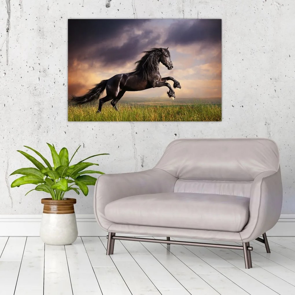 Tablou - Cai (90x60 cm)