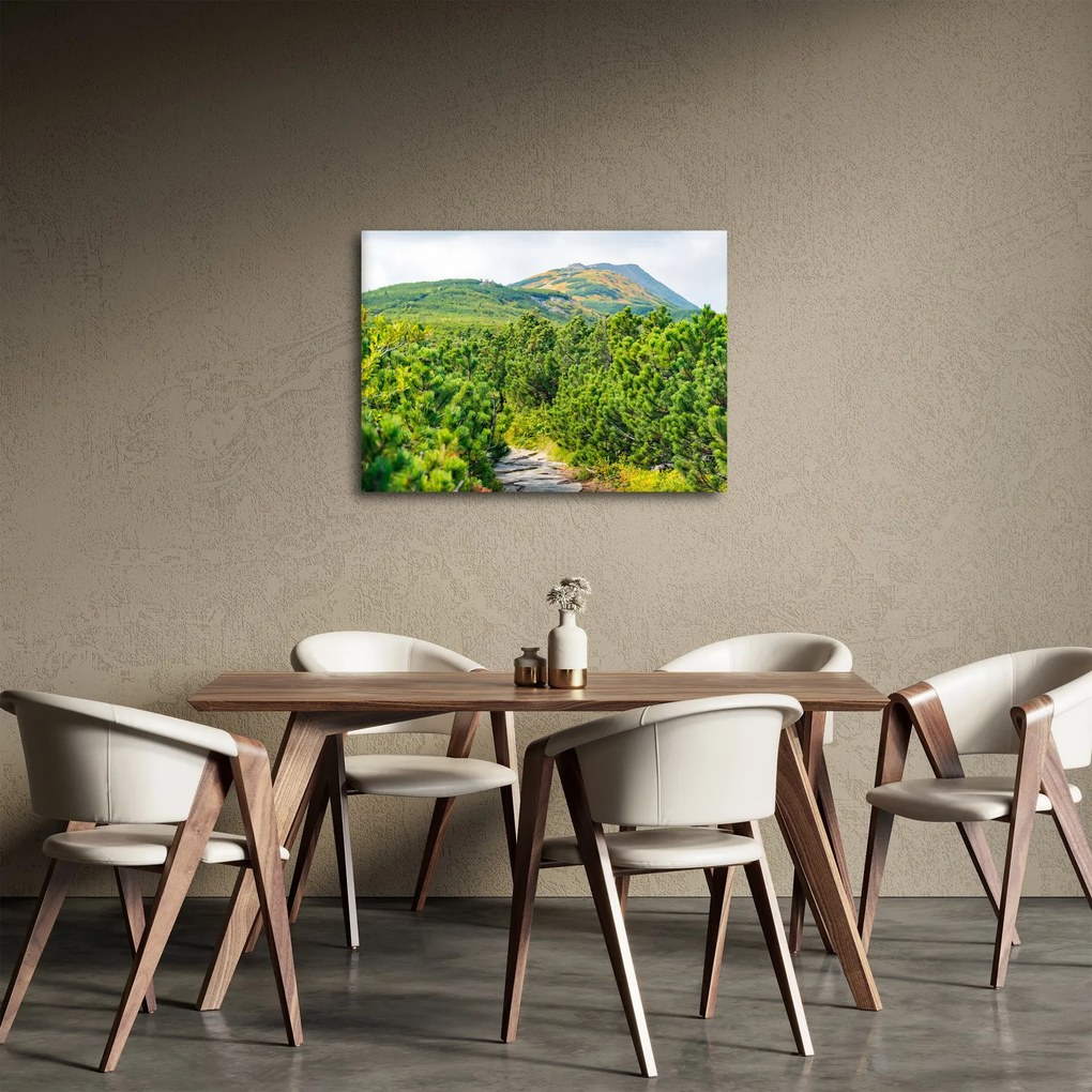 Tablou - Babi Hora, Polonia (70x50 cm)
