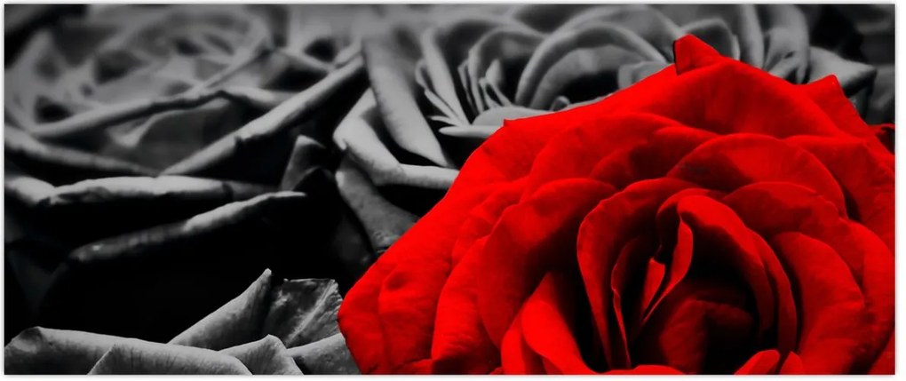 Tablou - Trandafir (120x50 cm)