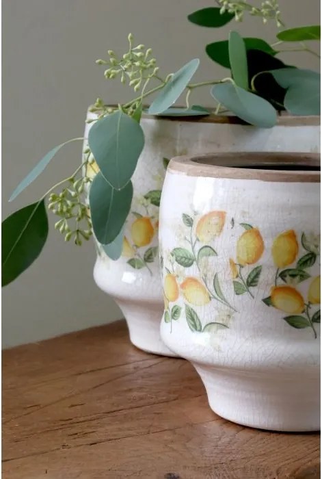 Ghiveci Limone Blossom cu lămâi și flori