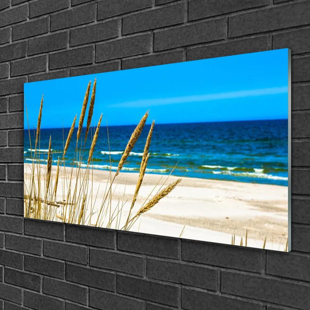 Tablou pe sticla Ocean Beach Peisaj Maro Albastru