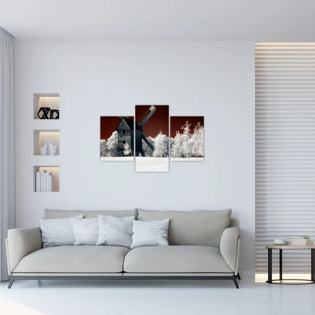 Tablou cu moară (90x60 cm)