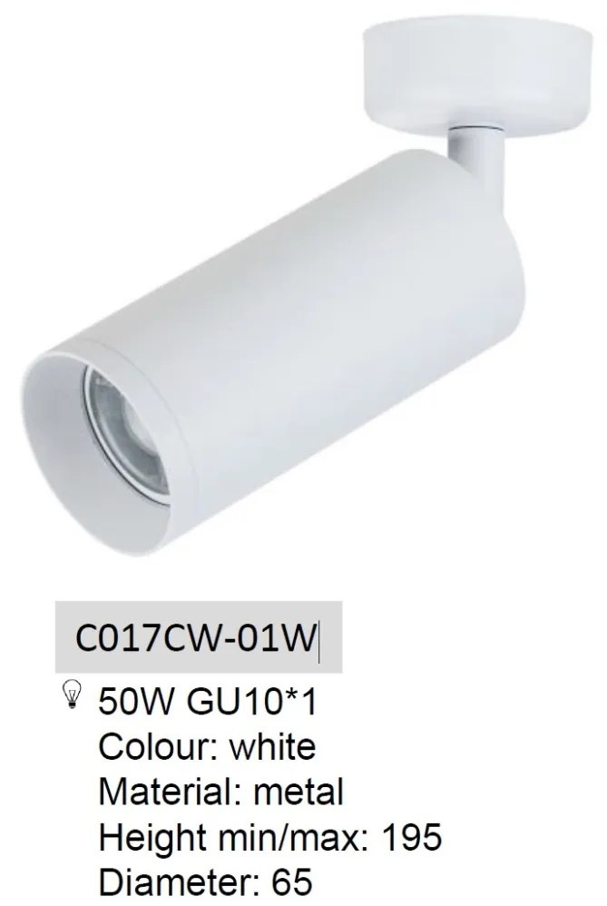 Spot directionabil aplicat de tavan/plafon Focus MYC017CW-01W