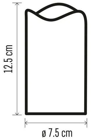 SET 2x decorațiune LED de Crăciun 2xLED/2x2AA + telecomandă