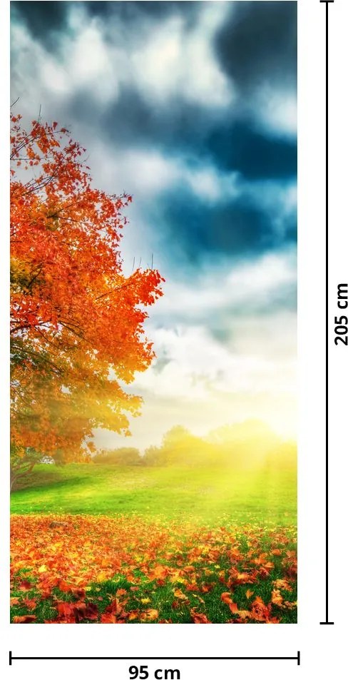 Fototapet pentru ușă - Peisaj luminat de soare (95x205cm)
