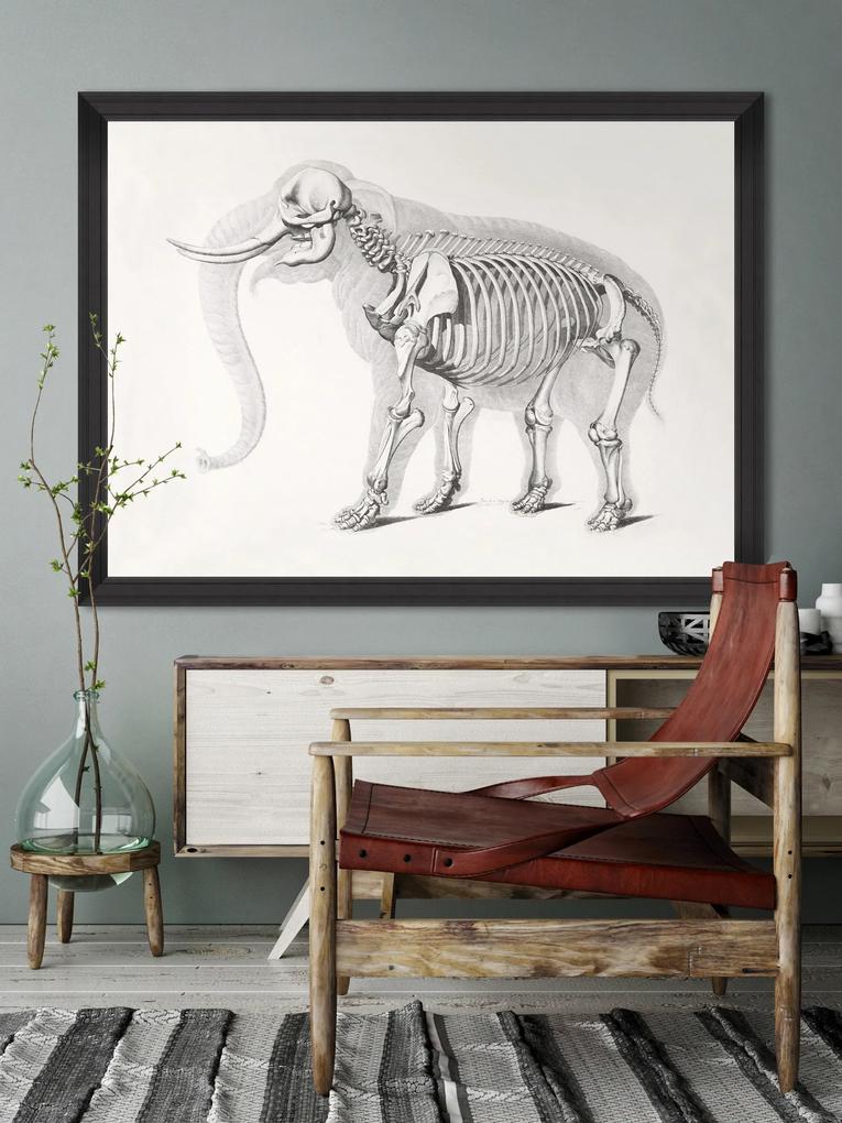 Tablou Framed Art Mammoth Skeleton