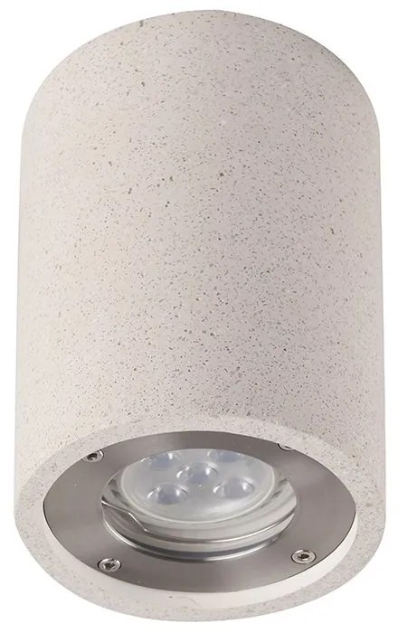 Spot aplicat tavan iluminat exterior IP65 LEVI alb