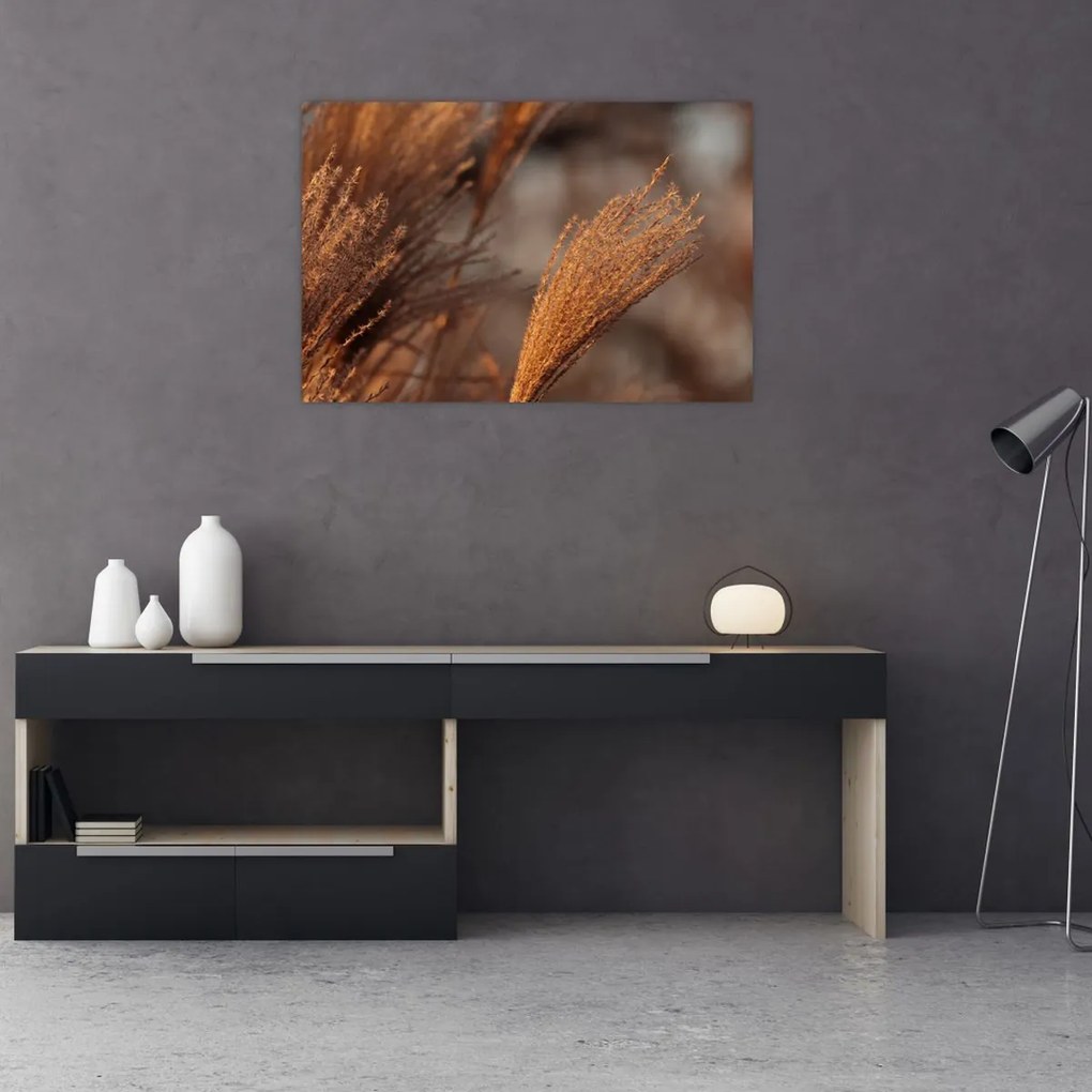 Tablou - Cortaderie (90x60 cm)