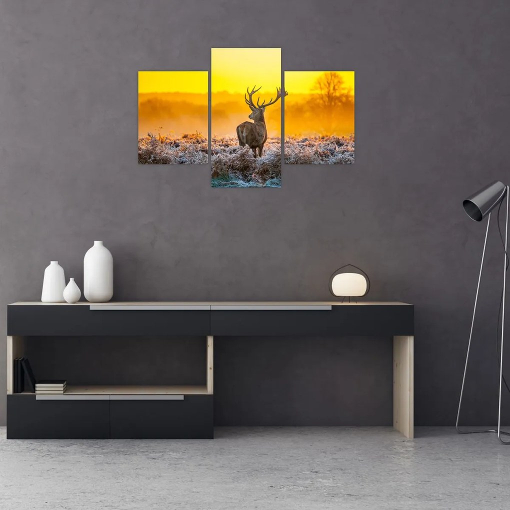 Tablou - Cerb la răsăritul soarelui (90x60 cm)