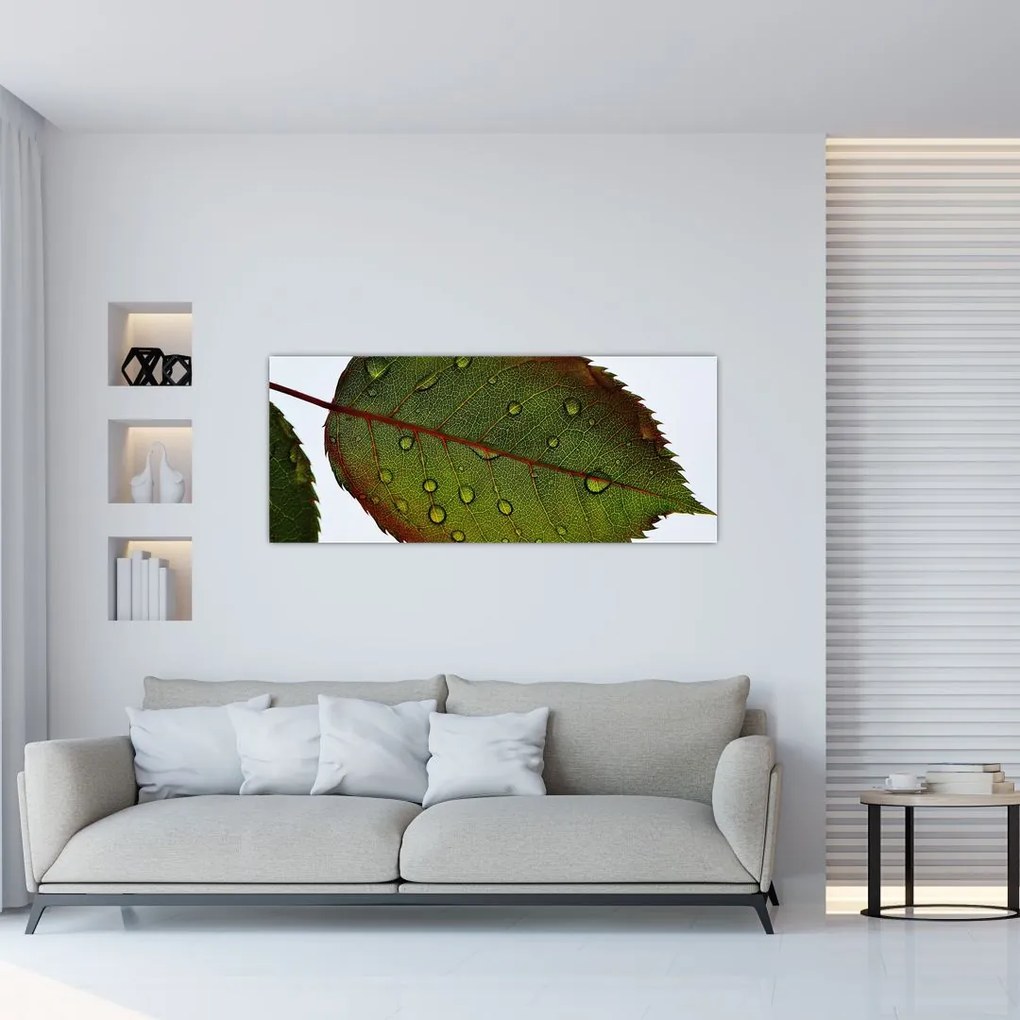 Tablou - Frunze de trandafir (120x50 cm)