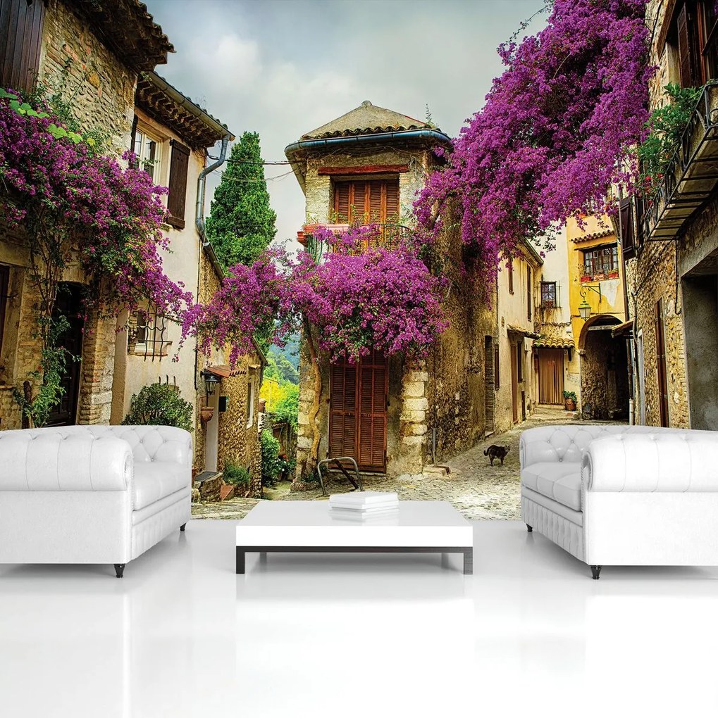 Fototapet - Curte (152,5x104 cm)