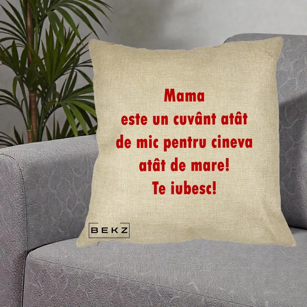 Cadou pentru Mama - Perna Personalizata Mama Cuvant Mic, 40x40 cm, Crem, Husa Detasabila, Perna Inclusa, BEKZ®