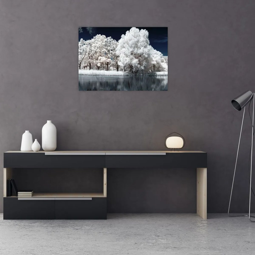 Tablou pe sticlă - Albă ca Zăpada Albă ca Zăpada Copaci (70x50 cm)