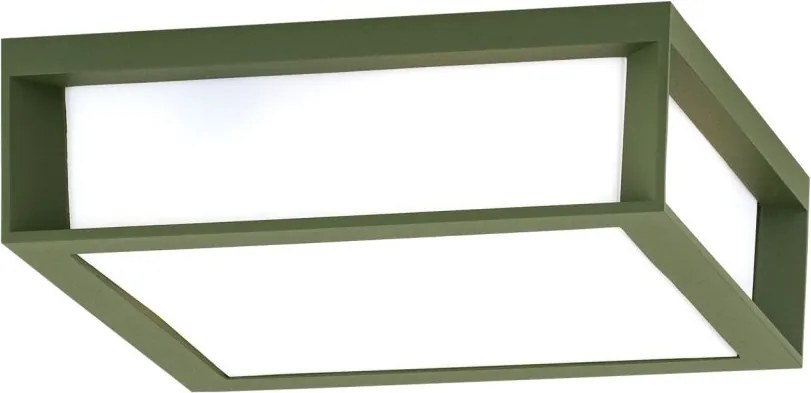 Aplica perete sau tavan de exterior IP44 HENRY verde