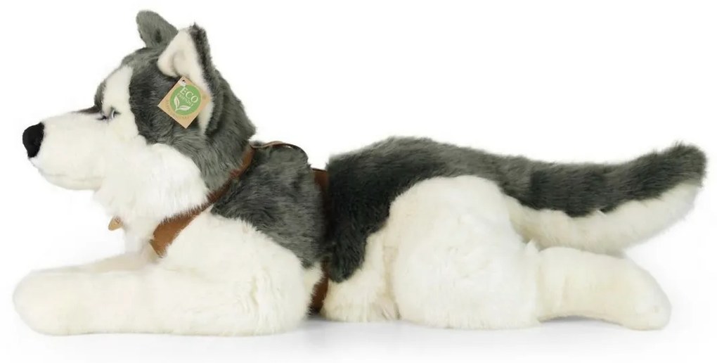 Jucărie pluș Rappa câine husky cu ham 60 cm ECO - FRIENDLY