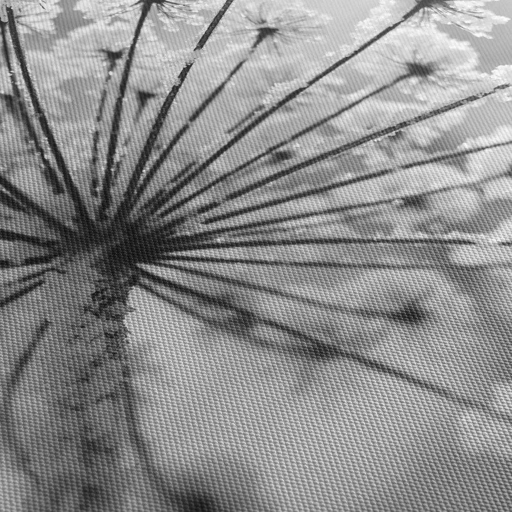 Tablou - Floare în timpul iernii (120x50 cm)